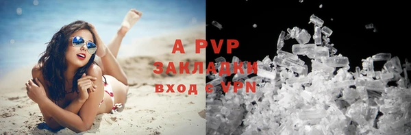 гидра Покровск