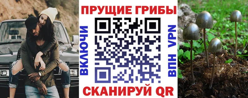 купить наркотики сайты  Котовск  Псилоцибиновые грибы ЛСД 
