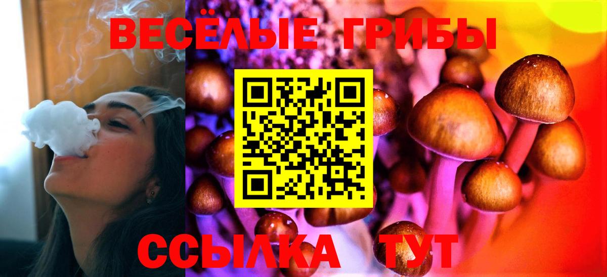 Галлюциногенные грибы прущие грибы Котовск